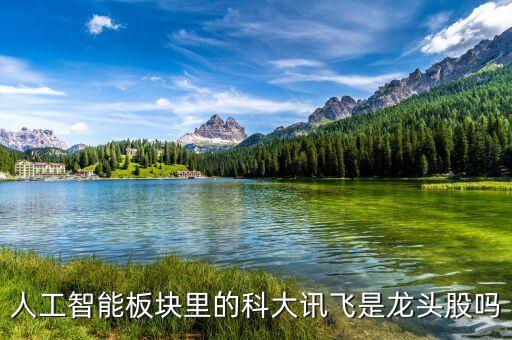 人工智能板塊里的科大訊飛是龍頭股嗎