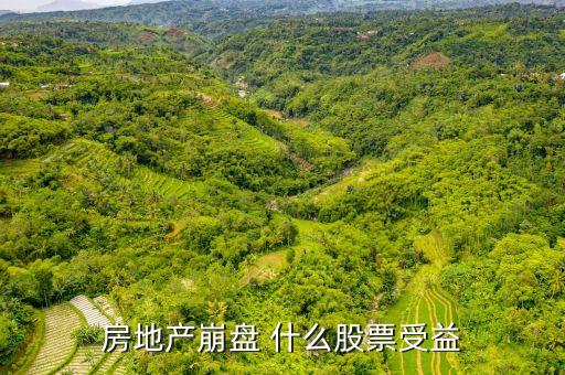 崩盤時持什么股，樓市崩盤前做什么投資比較好