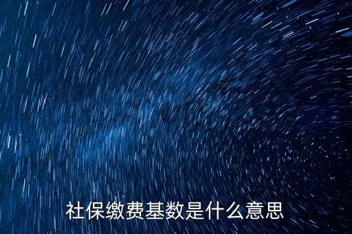 社保繳費(fèi)基數(shù)是什么意思
