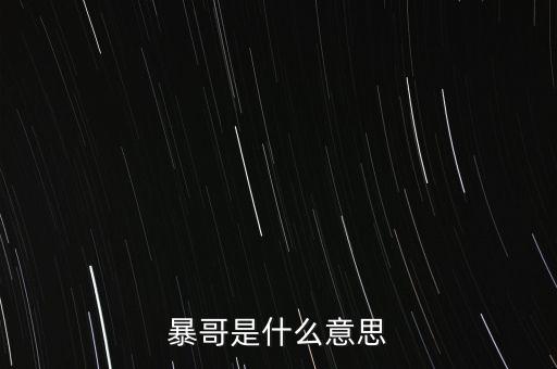 暴力哥是什么意思，暴力狂是什么意思