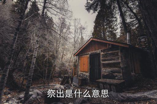 祭出重拳什么意思，重拳是甚么意思