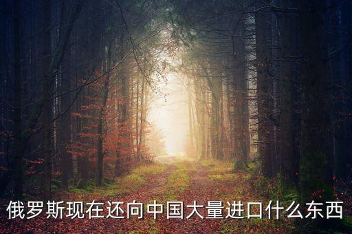 俄羅斯現(xiàn)在還向中國(guó)大量進(jìn)口什么東西