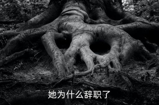 朱長虹為什么辭職，500強CEO為什么辭職