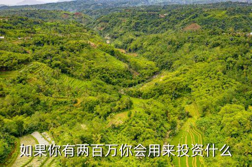 二百萬投資什么項(xiàng)目，有二百萬的投資該做些什么
