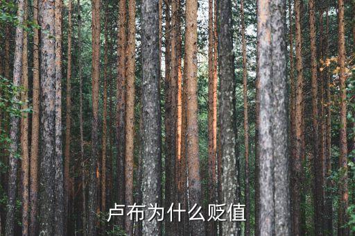 什么原因造成盧布貶值，盧布為什么貶值