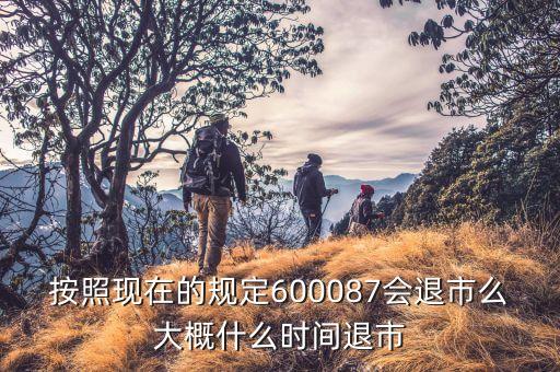 600087什么時候到3版，按照現(xiàn)在的規(guī)定600087會退市么大概什么時間退市