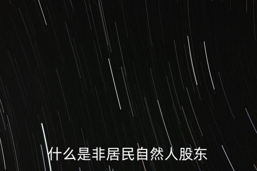 什么是非居民自然人股東