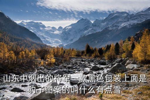 王中軍抽什么雪茄，爸爸回來(lái)了王中磊抽的那是什么煙