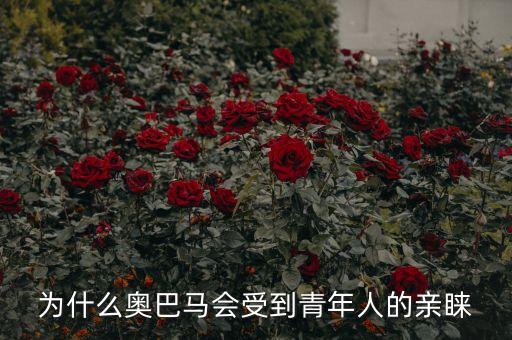 為什么奧巴馬會受到青年人的親睞