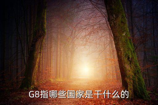 G8指哪些國家是干什么的