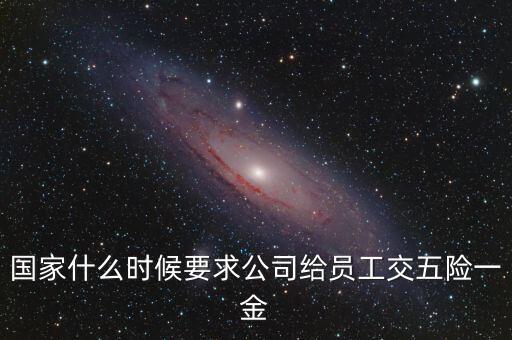 國(guó)家什么時(shí)候要求公司給員工交五險(xiǎn)一金