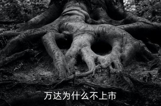 萬達(dá)為什么不上市