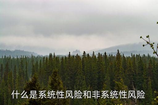 什么是系統(tǒng)性風(fēng)險和非系統(tǒng)性風(fēng)險