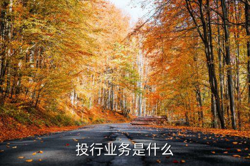 什么是公司業(yè)務(wù)投行化，投行業(yè)務(wù)是什么