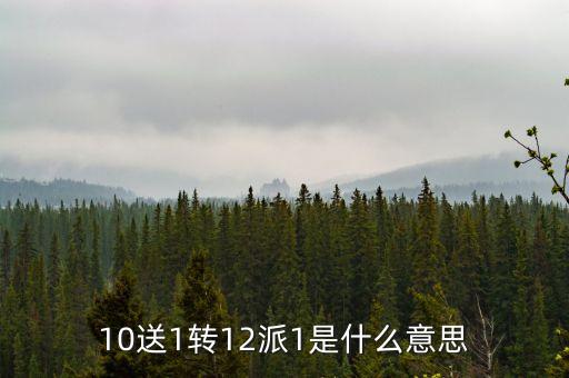 10轉(zhuǎn)12派1元是什么意思，10送1轉(zhuǎn)12派1是什么意思