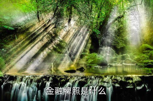 擔(dān)保公司的金融牌照是什么樣子的，金融牌照是什么