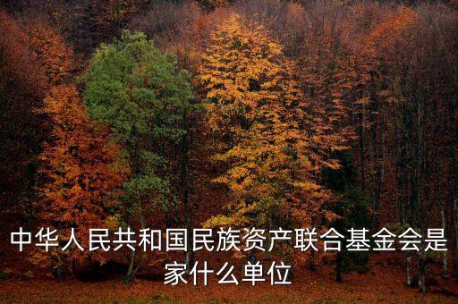 anc基金會是什么，中華人民共和國民族資產(chǎn)聯(lián)合基金會是家什么單位