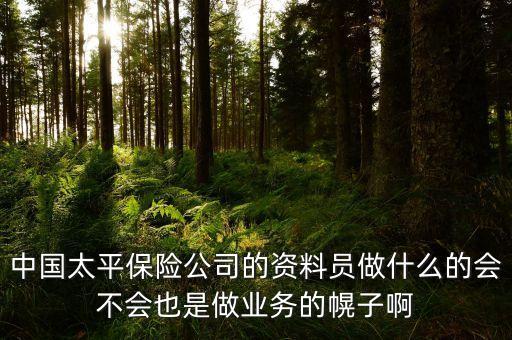 中國(guó)太平保險(xiǎn)公司的資料員做什么的會(huì)不會(huì)也是做業(yè)務(wù)的幌子啊