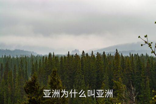 為什么叫亞洲，亞洲為什么叫亞洲我們是亞洲人怎么沒給自己的洲取過名字  搜