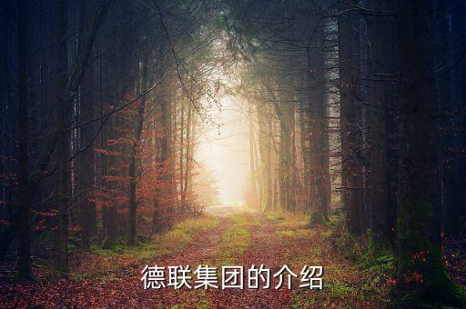 德聯(lián)集團(tuán)的介紹