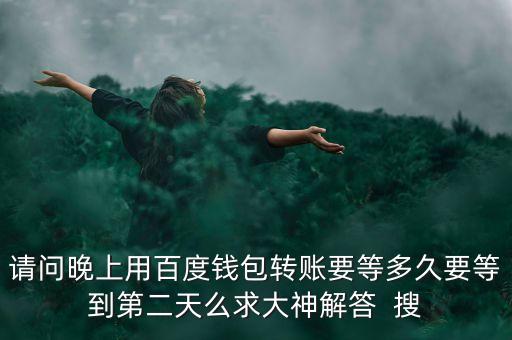 請問晚上用百度錢包轉(zhuǎn)賬要等多久要等到第二天么求大神解答  搜
