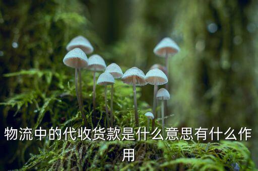 跨行代收什么意思，代收貨款是什么意思