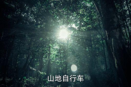 山地自行車(chē)