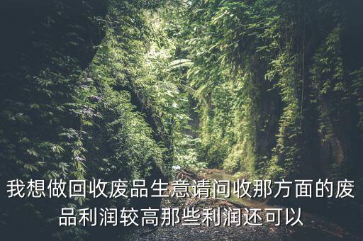 什么廢品利潤(rùn)空間大，請(qǐng)問(wèn)收購(gòu)哪種廢品最賺錢(qián)