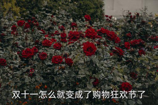 雙十一怎么就變成了購物狂歡節(jié)了