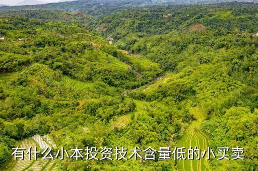 有什么小本投資技術(shù)含量低的小買(mǎi)賣(mài)