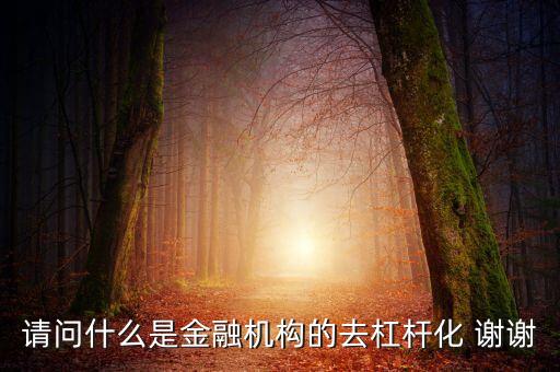 請問什么是金融機構(gòu)的去杠桿化 謝謝