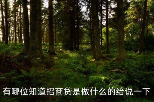 有哪位知道招商貸是做什么的給說一下