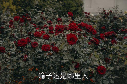 喻子達干什么去了，喻子達是哪里人