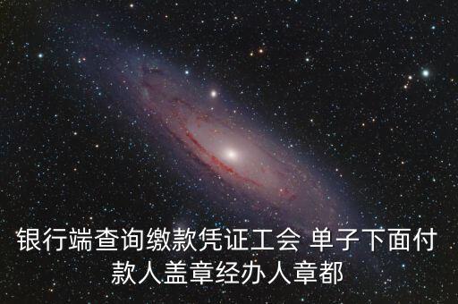 銀行端查詢繳款憑證工會(huì) 單子下面付款人蓋章經(jīng)辦人章都