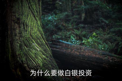 為什么要做白銀投資，為什么要投資白銀