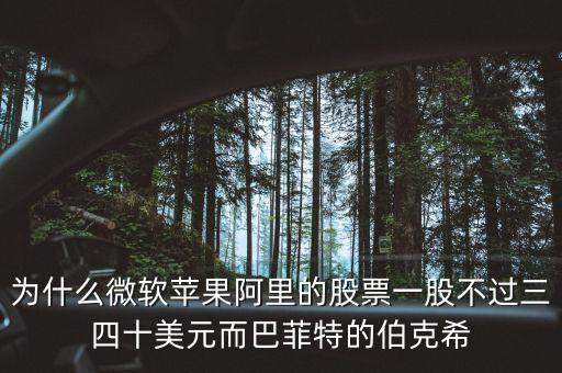 伯克希爾股票價(jià)格為什么這么高，伯克希爾哈撒韋公司的股價(jià)為什么這么高