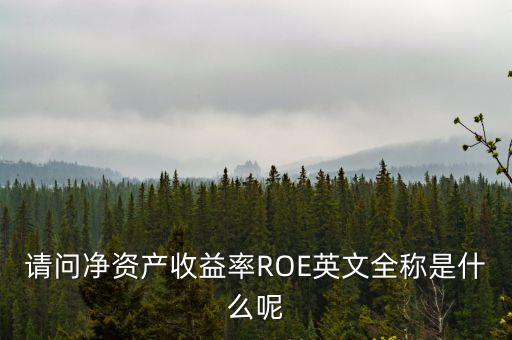 請(qǐng)問(wèn)凈資產(chǎn)收益率ROE英文全稱(chēng)是什么呢