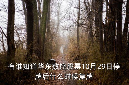 002248什么時(shí)候復(fù)牌，有誰(shuí)知道華東數(shù)控股票10月29日停牌后什么時(shí)候復(fù)牌