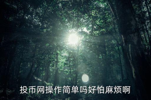 投幣網(wǎng)操作簡單嗎好怕麻煩啊
