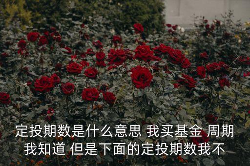 基金定投期數(shù)是什么意思，什么是定投期數(shù)