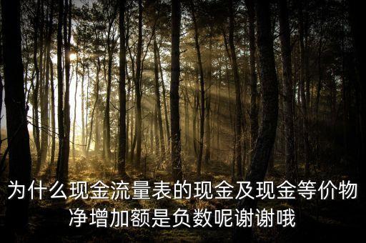 為什么現(xiàn)金流量表的現(xiàn)金及現(xiàn)金等價物凈增加額是負(fù)數(shù)呢謝謝哦