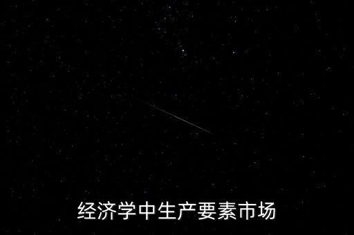 經(jīng)濟(jì)學(xué)中生產(chǎn)要素市場