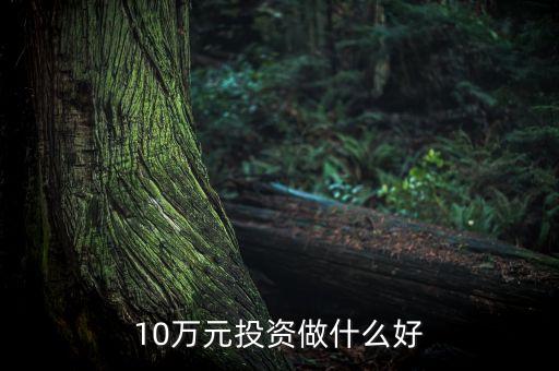 10萬(wàn)元投資做什么好