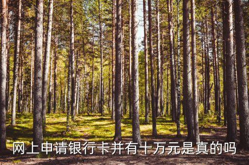 為什么工行信用卡網(wǎng)審首次有10萬，網(wǎng)上申請(qǐng)銀行卡并有十萬元是真的嗎