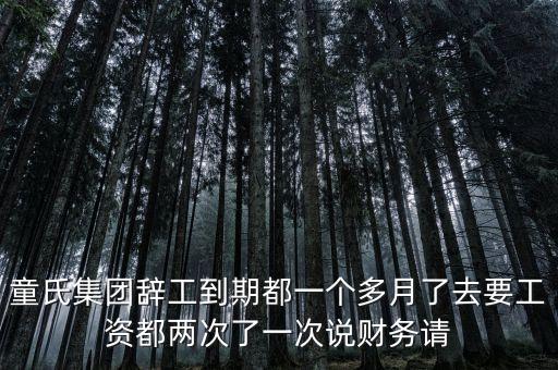 童氏集團辭工到期都一個多月了去要工資都兩次了一次說財務請