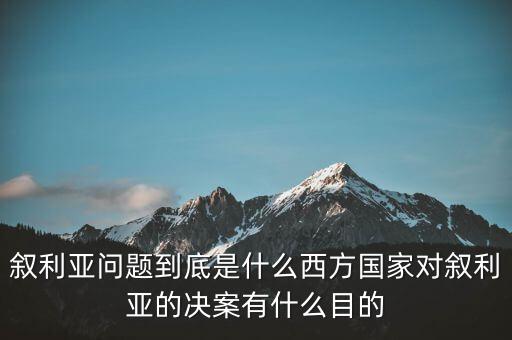 敘利亞提案是什么，聯(lián)大敘利亞問題決議草案哪些國家投了反對票