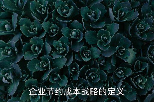 企業(yè)節(jié)約成本戰(zhàn)略的定義