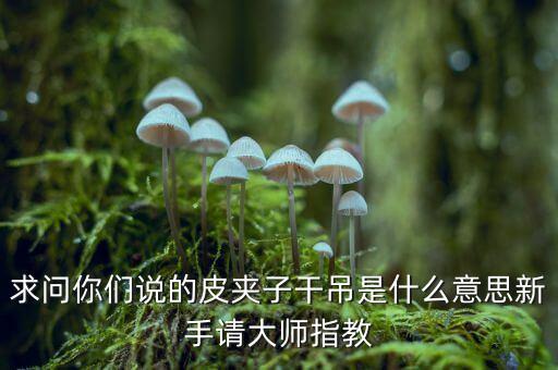 求問你們說的皮夾子干吊是什么意思新手請大師指教