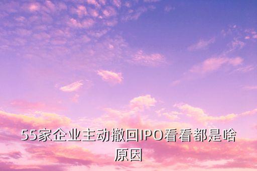 55家企業(yè)主動(dòng)撤回IPO看看都是啥原因