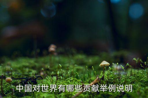 中國對世界有哪些貢獻舉例說明